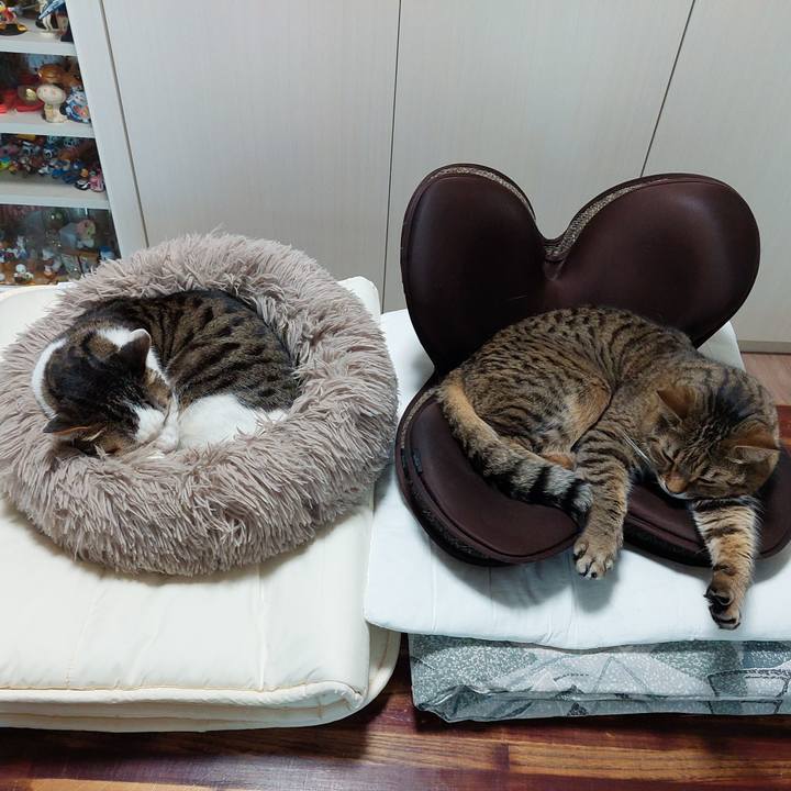 1fcbbce4 4e8d 4d1a 8772 0ec975f2a48c 1710972848358