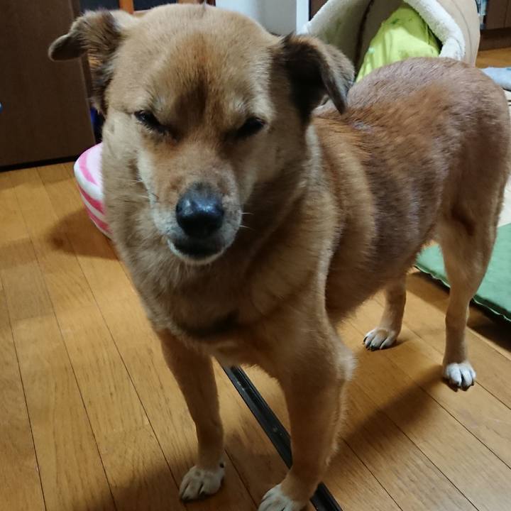 1fcc1c4e 2b35 4717 9f9e d8f1a9e1915c 1585483814091