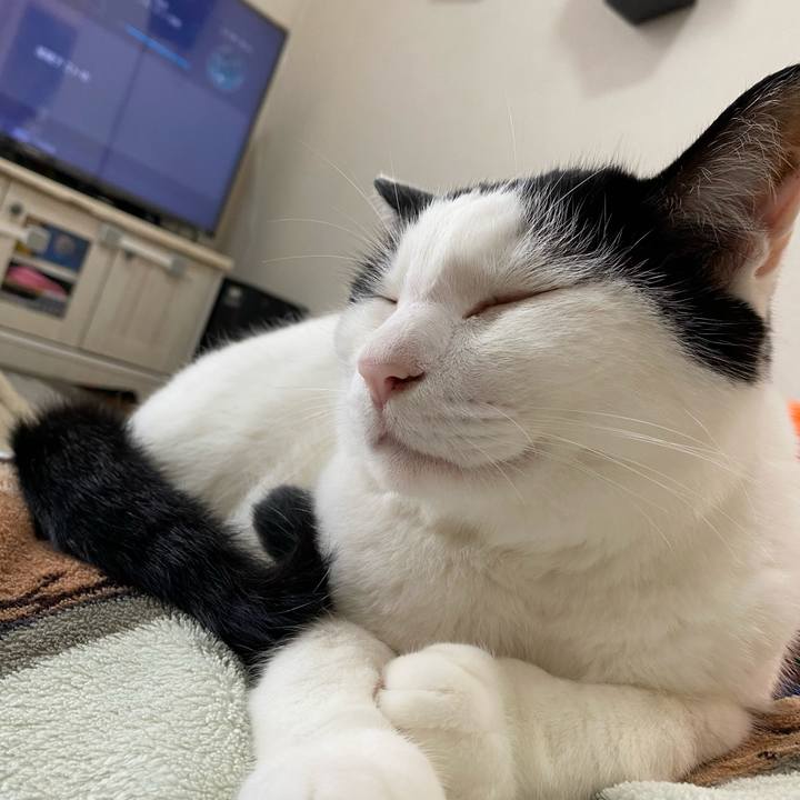 1fcc3d8a ebcd 42f4 acc3 5ca1aedc28e2 1629598369504