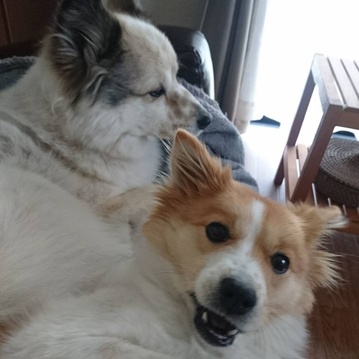 1fcc8ada c781 440e b60b 6103e352adaf 1560079035299