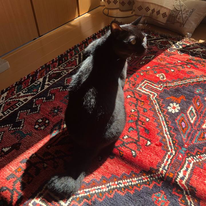 1fccbda3 8f7a 4b6b 8299 7101ae9b2efe 1570921545401