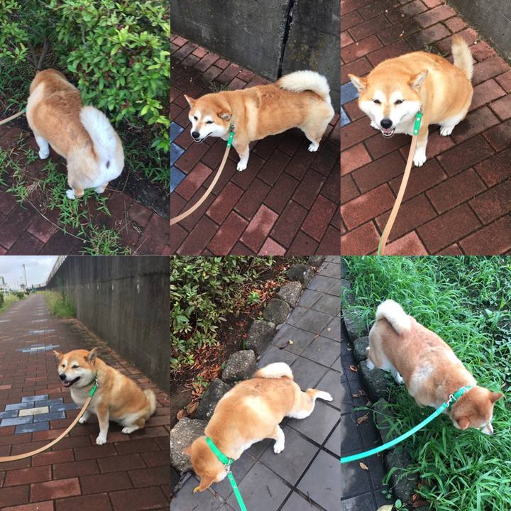 1fccbe3f 349f 4479 8cb4 2a6a388c50d9 1600819291139