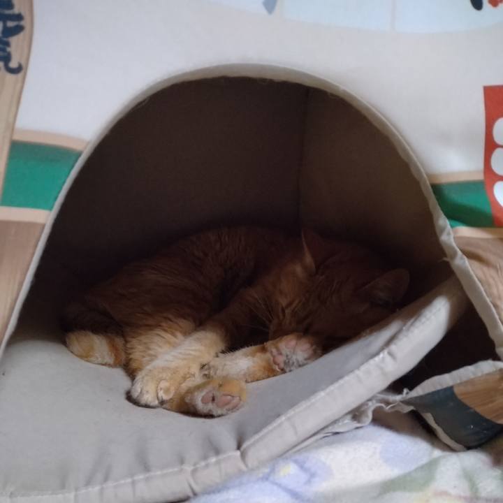 1fcd022d 40c5 4f74 9a1a 8f6a64d44bf5 1683637966443