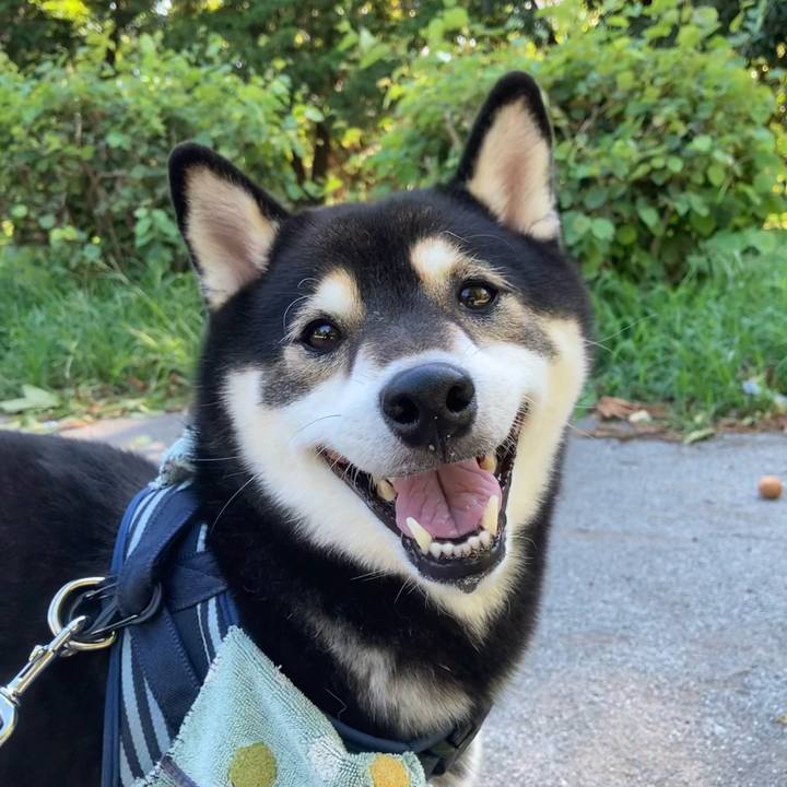 1fcd1c26 20c3 4593 8af0 f7545ba0ea60 1628554401067