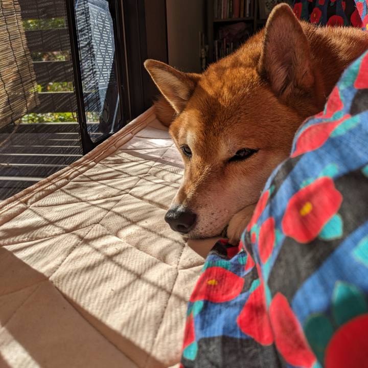 1fcd4da9 d4c0 49da a9cc 6ff9eefc329c 1700491834532