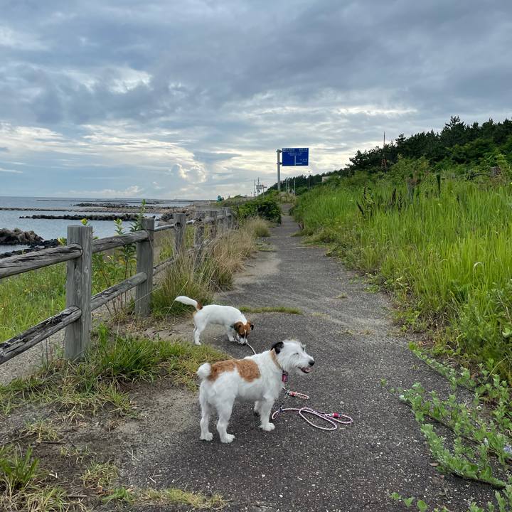 1fcd60b2 2d0f 4f88 83d5 f0e4d1480cf2 1627428060876