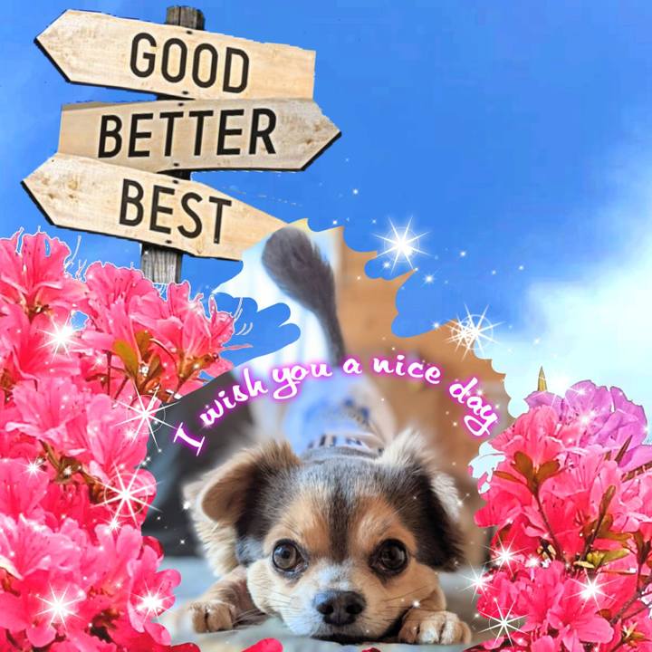 1fcd63c6 9cfb 4254 8cfa 22c20f2b2816 1619399693285