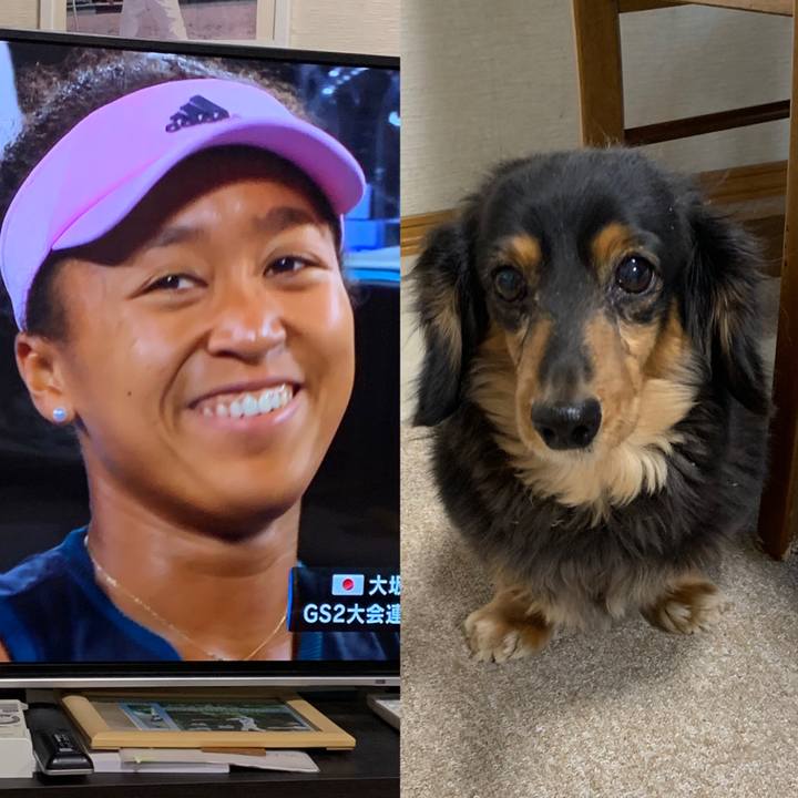 1fcd91fb dd88 45d4 be70 33133edf5e3a 1548501487334