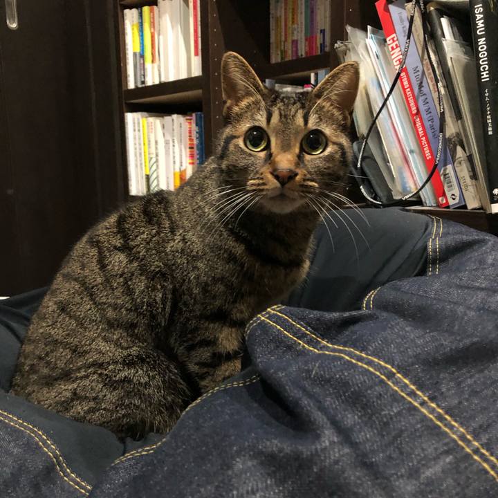 1fcdacc5 2f2e 41b3 aca5 3903910ae350 1583817036748