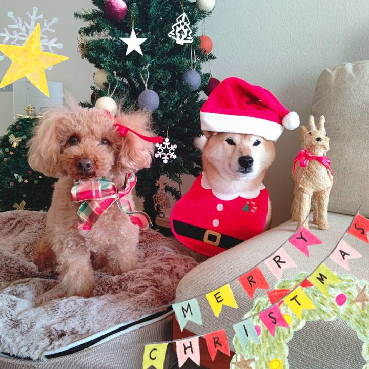 1fcdf537 6740 465e 8e66 5ba9f23c5079 1608774501020