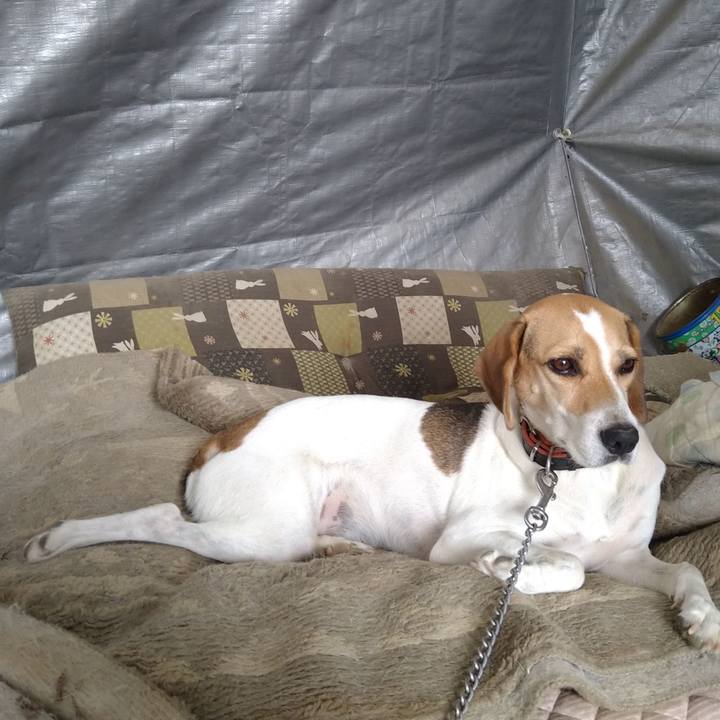 1fce2856 d33f 4fd2 9c65 6f471a809a99 1630561310075