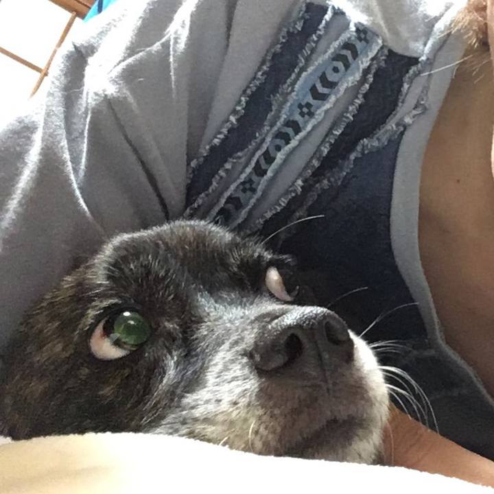 1fce2a7d fc4a 4cb1 a507 fb248ae288b0 1560776584914