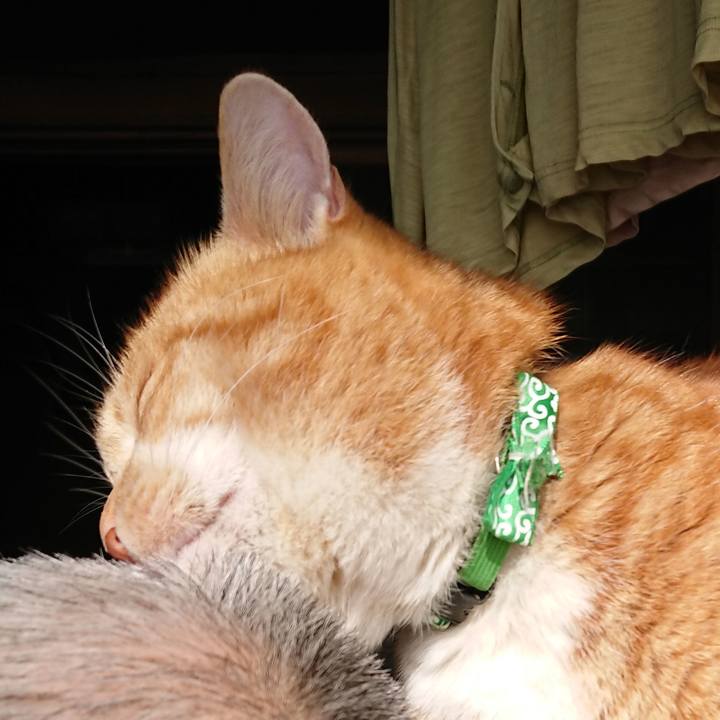 1fce567d b7b8 496e ae91 e5c132784f22 1581140011620