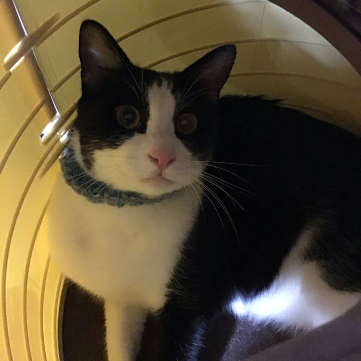 1fce7317 320c 4715 a2b2 d4ed093c07d8 1663156626351