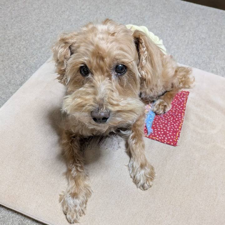 1fce828b d5b8 4e39 848c 4358077fb8b8 1768467996336