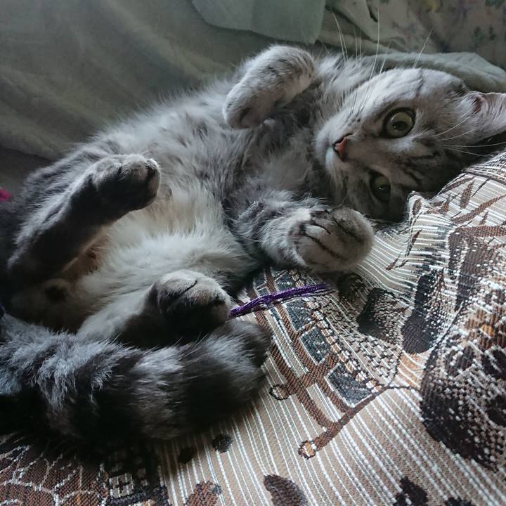 1fcedfa5 9474 4b7c 9c1c ee10e1c66fc4 1532596096653