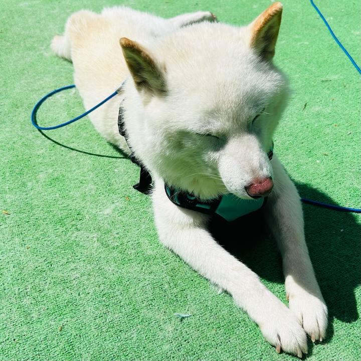 1fcee45c a4f9 4749 817e 483453c2b130 1687671182097