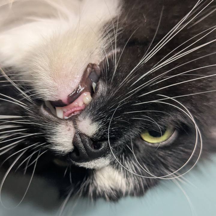 1fcef255 4664 476a 8807 fd6a1af96186 1759019530874