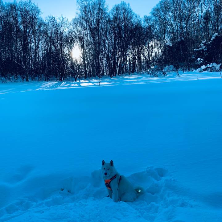 1fcf0d71 a0b0 44b1 8d8e 015e61487680 1640659289060