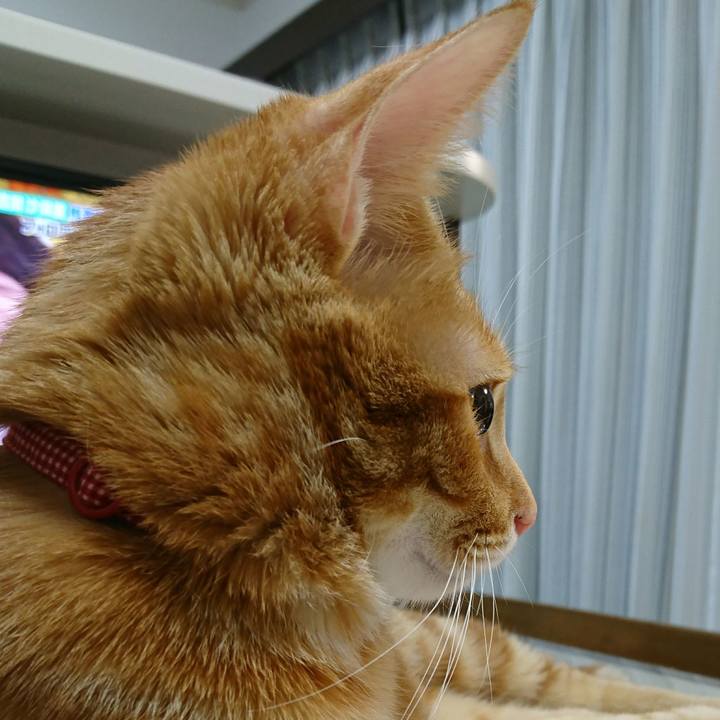 1fcf24b4 bafb 4806 ba19 76cfa2b57621 1511444118017