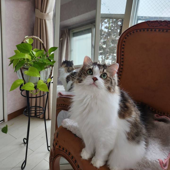 1fcf5198 62ca 4f33 944f ccd00cb472ae 1728424445047