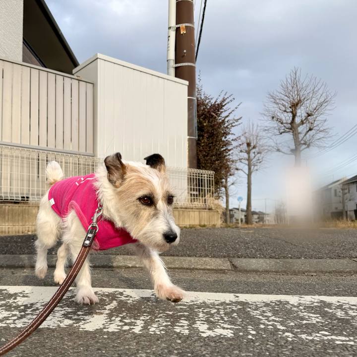 1fcf5541 db29 454d b75f b8c3c9363a1a 1767903154144