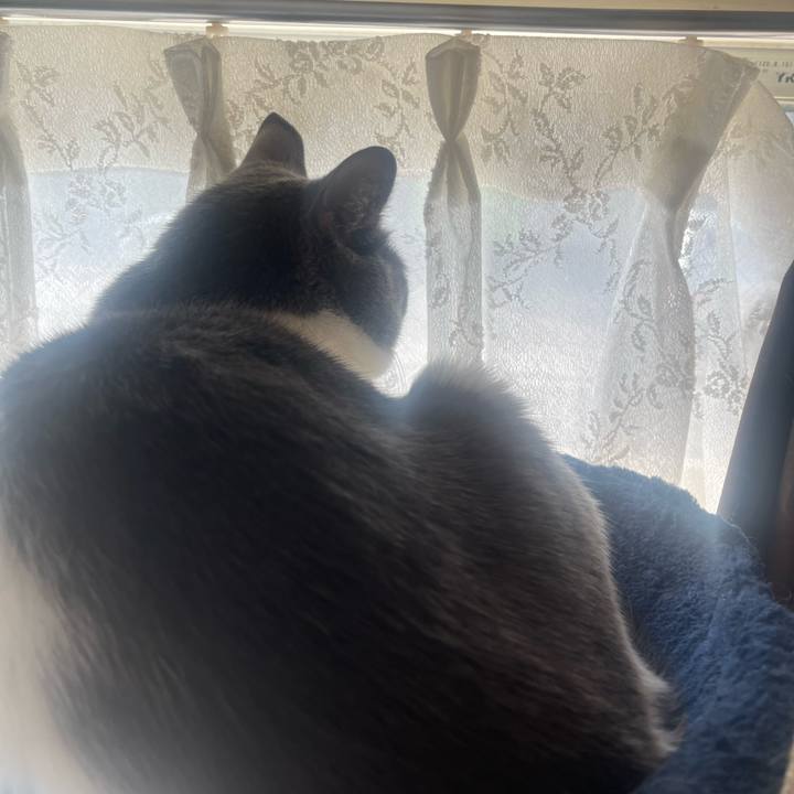 1fcf5feb ca27 4290 aa1c e1b8862ede79 1697497270321