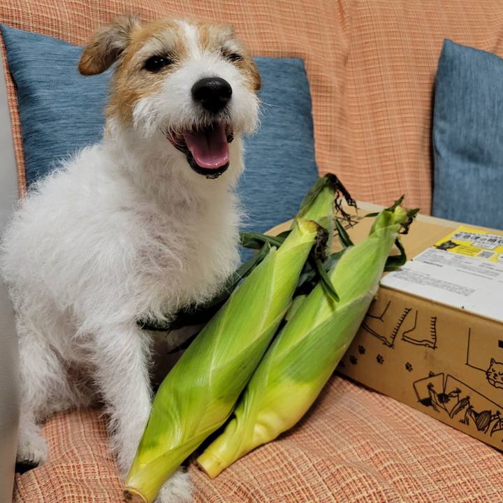 1fcf6b36 0bb1 4faa ba02 8ed847b9acf6 1723980063033