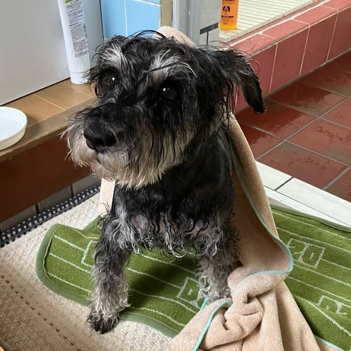 1fcfdcce f432 44a8 a637 2f29191c8bba 1713012536562