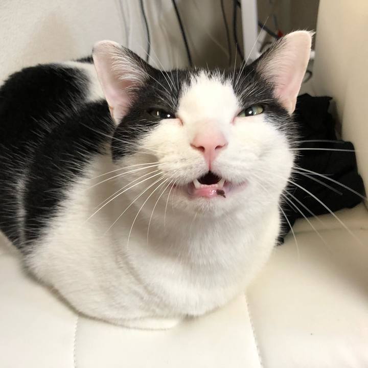 1fd00be0 b222 45a6 8bc4 7739c2fe76bd 1521158765637