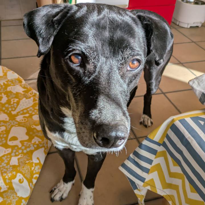 1fd02b86 8eb4 4937 8ce8 5dce5fbdecb3 1738926028847