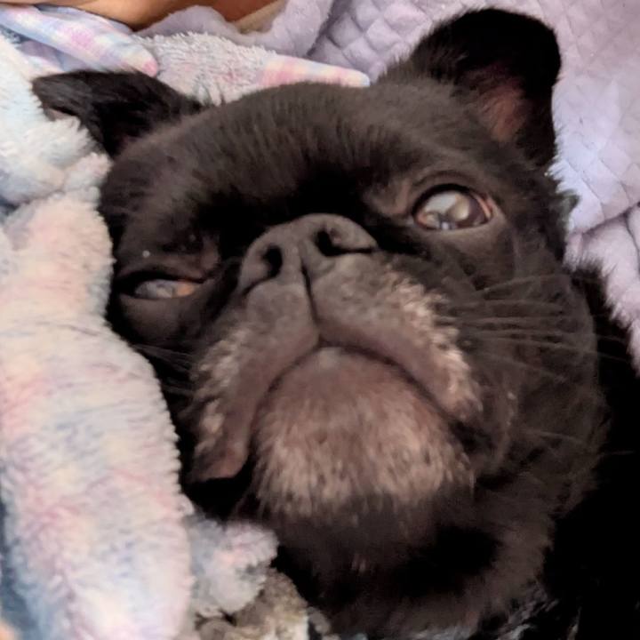 1fd03520 7f8e 475b abfc 6b5b7e065a2c 1773149639287