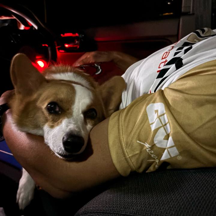 1fd07e6b 94b0 4dfe 8c80 6c8a6f81f769 1758969734615