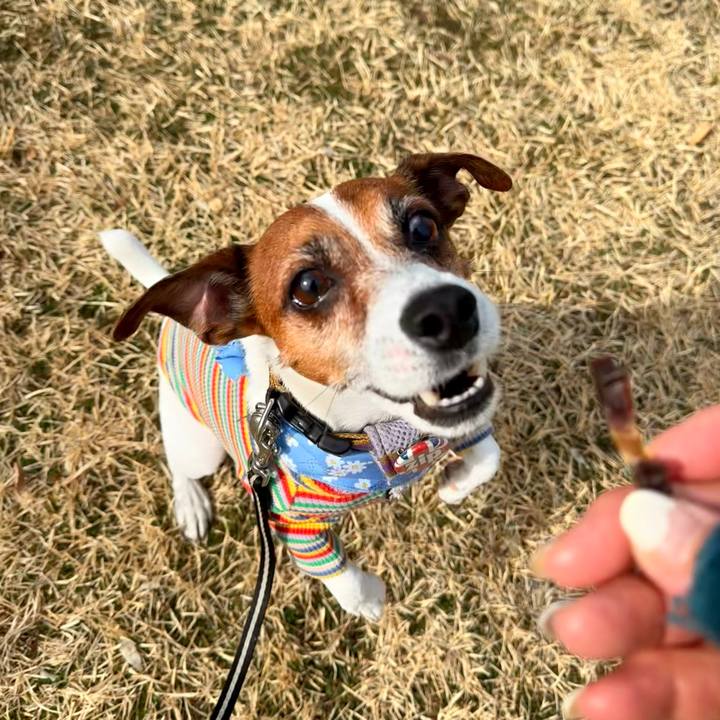 1fd08e1d 86aa 4f81 9fe6 041825f288ac 1772459753616