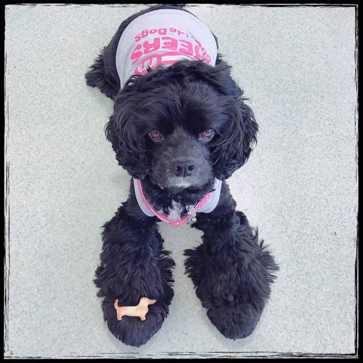 1fd0bb2f 0d7c 4013 ad8e 77a5f53eddf2 1525502613904