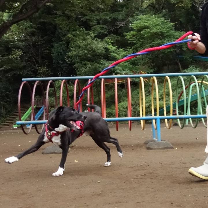 1fd0c0b2 db70 4d45 b4a1 63bd42bbef0c 1601509129752