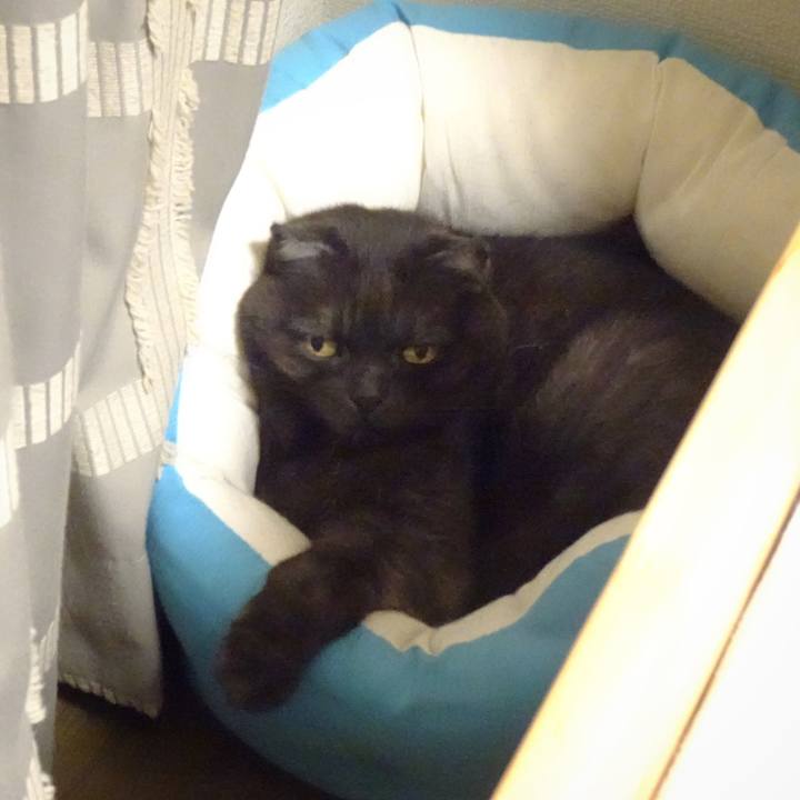 1fd0f486 8325 43c8 80a6 55d3c5506057 1588339254577