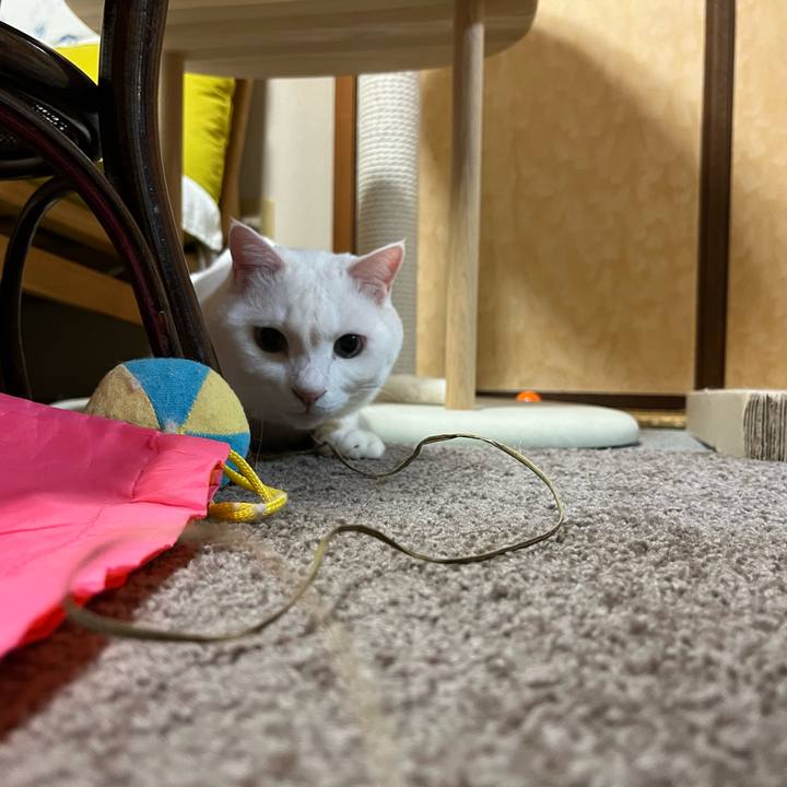 1fd10962 2952 4c12 8d37 f8511f3f9679 1714911637512