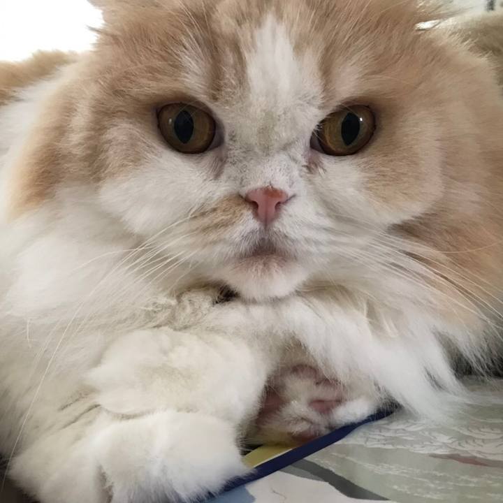 1fd10e2c 1f2f 4560 81e2 e0bcc1f0627a 1594909291438