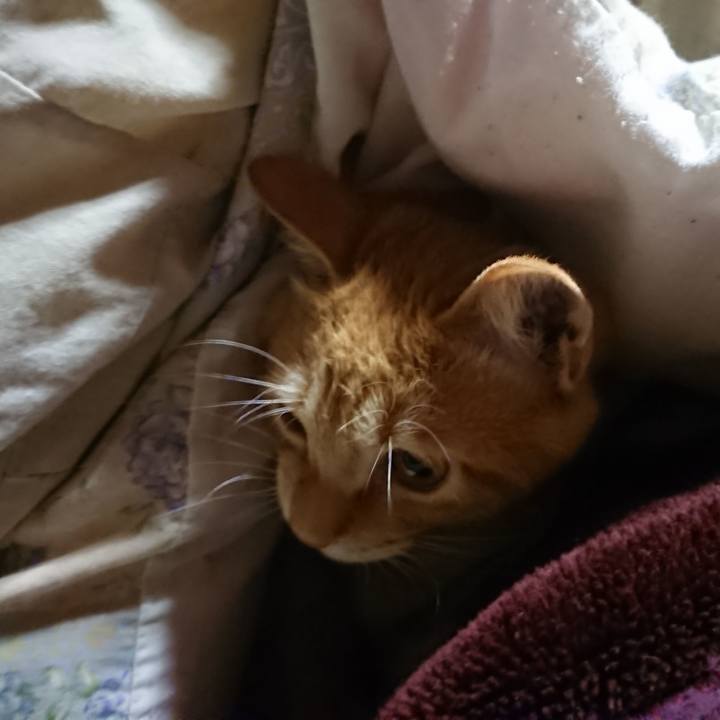 1fd12391 9d36 4f4c 871d d3cb525b91b9 1636055948460