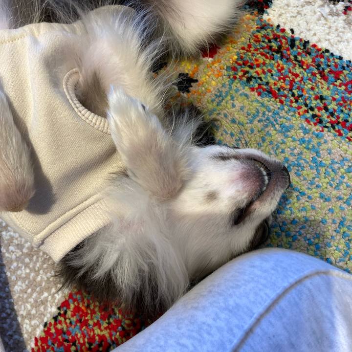 1fd1a179 708b 43ee 9e2e e84df5a1379a 1707647703279