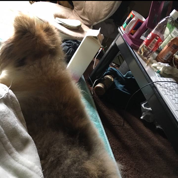 1fd1b0ee cec5 4a65 972e 5007c39d3690 1554767135161