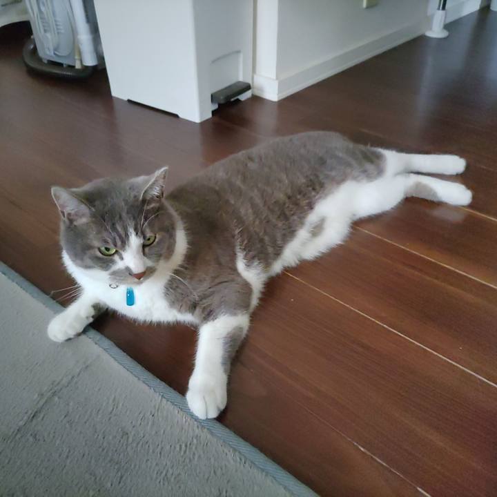 1fd1b14d 3322 4bb7 92c5 cfa5fb2e864f 1719966974181