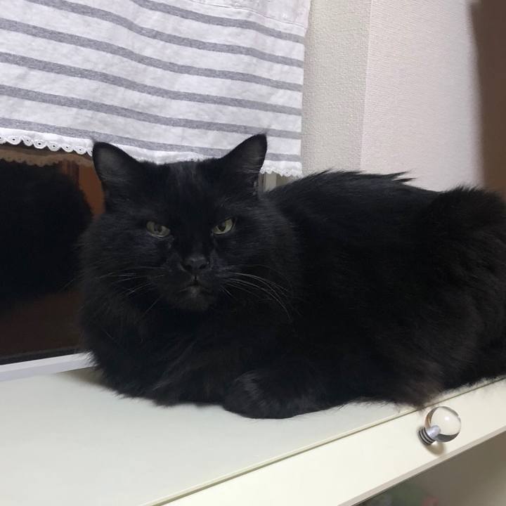 1fd1d0f2 2ac1 4bf3 ab16 fbb0c268bbf4 1541269341468