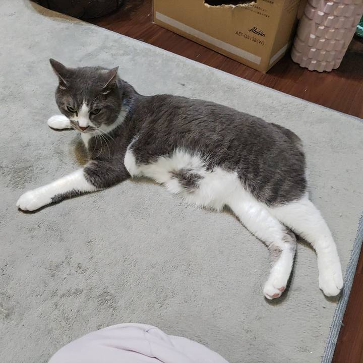 1fd1ff65 a469 46d7 93e7 ccb073c28d97 1713268921971