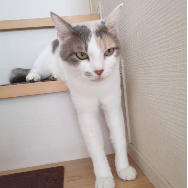 1fd2107b 7e15 4781 83a9 11cfd97a2f50 1602473839091