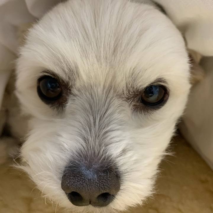 1fd25a63 489f 4d2d b3c7 4a21c10fa3a0 1584145706097