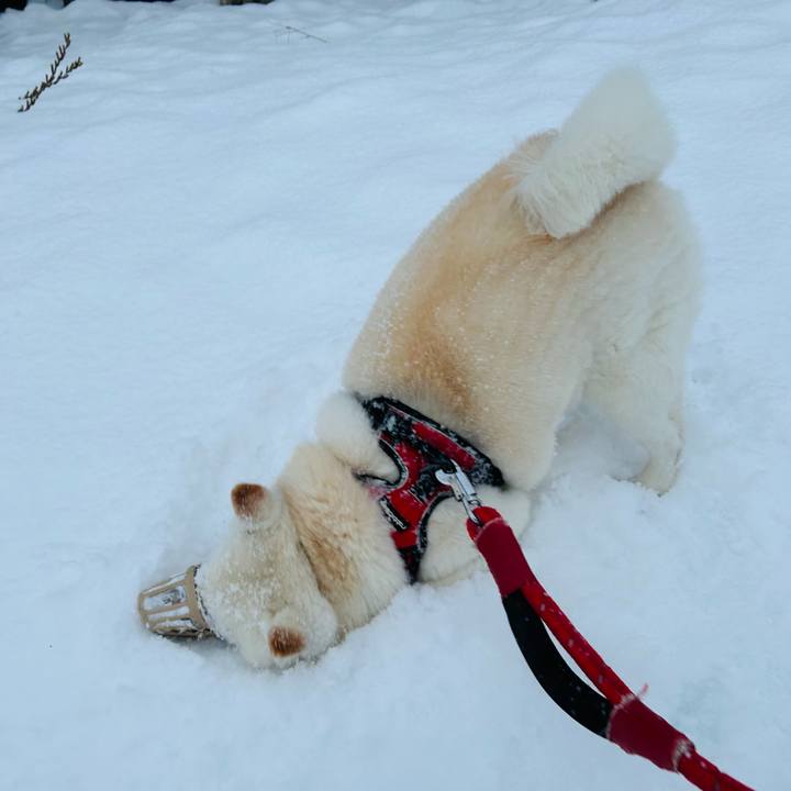 1fd26aad f255 4439 a635 bbaf1710e2c0 1765923628011