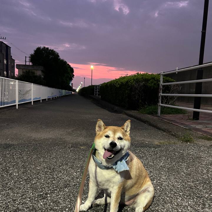 1fd279f7 c556 4538 bfe8 7b8c24594c23 1725794857299