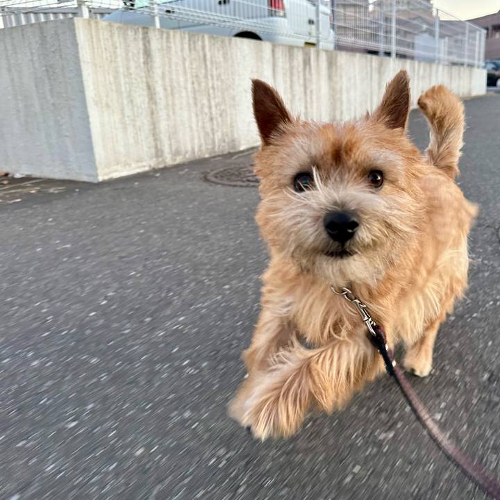 1fd28a1e f729 4aa9 86d7 b30cd4db20c2 1737122470183